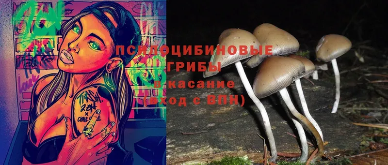 shop телеграм  Дзержинский  Псилоцибиновые грибы MAGIC MUSHROOMS 